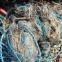 Fishing Nets